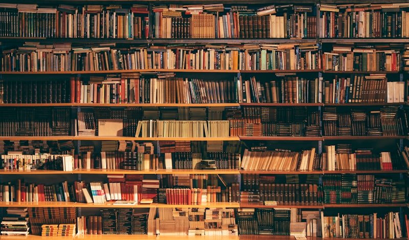 New Arrivals Bookshelf